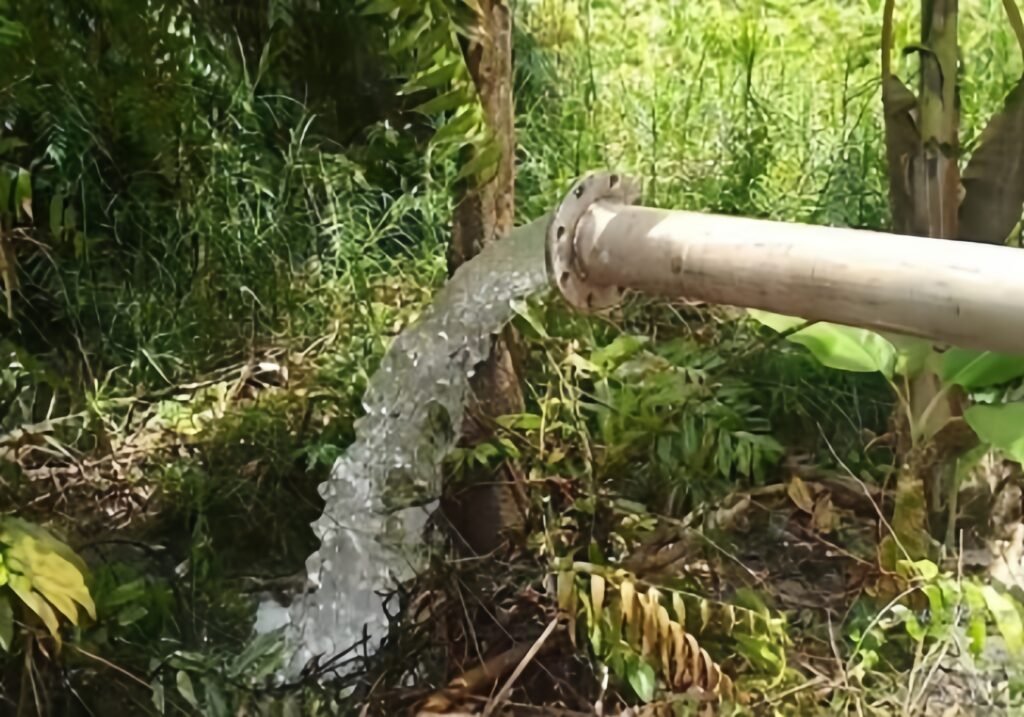 quality restoration 20260108143035464